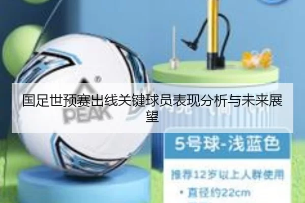 国足世预赛出线关键球员表现分析与未来展望